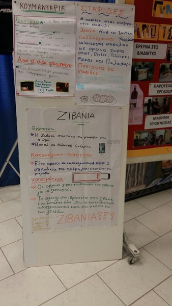 "Δράσεις που εντάσσονται στο πλαίσιο  της προκήρυξης διαγωνισμού για την εφαρµογή των σχεδίων µαθήµατος µε γενική θεµατογραφία την Κυπριακή Παραδοσιακή Διατροφή στα πλαίσιο του µαθήµατος της Οικιακής Οικονοµίας. Σχολική χρονιά 2015-2016 "